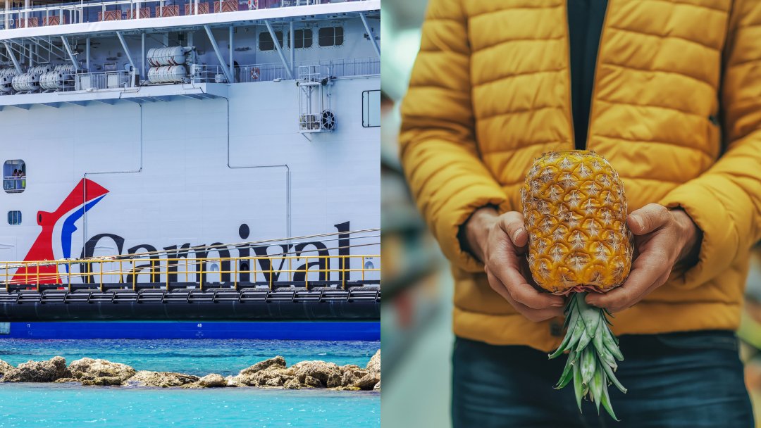 Carnival Cruise Line bans upside-down pineapple decorations after deciphering their meaning – Random Curiosities