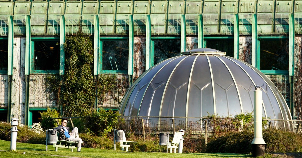 Europe’s Most Innovative Library Has a Botanical Garden on the Roof